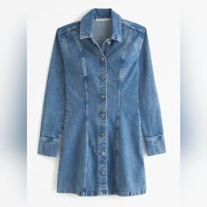 Abercrombie Denim Button Down Dress